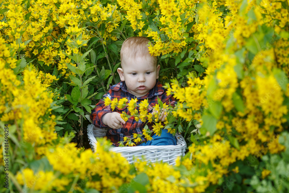 Smiling child plays in flowers. Baby in blooming spring garden. Summertime scene from childhood Smiling child plays in flowers. Baby in blooming spring garden. Summertime scene from childhood