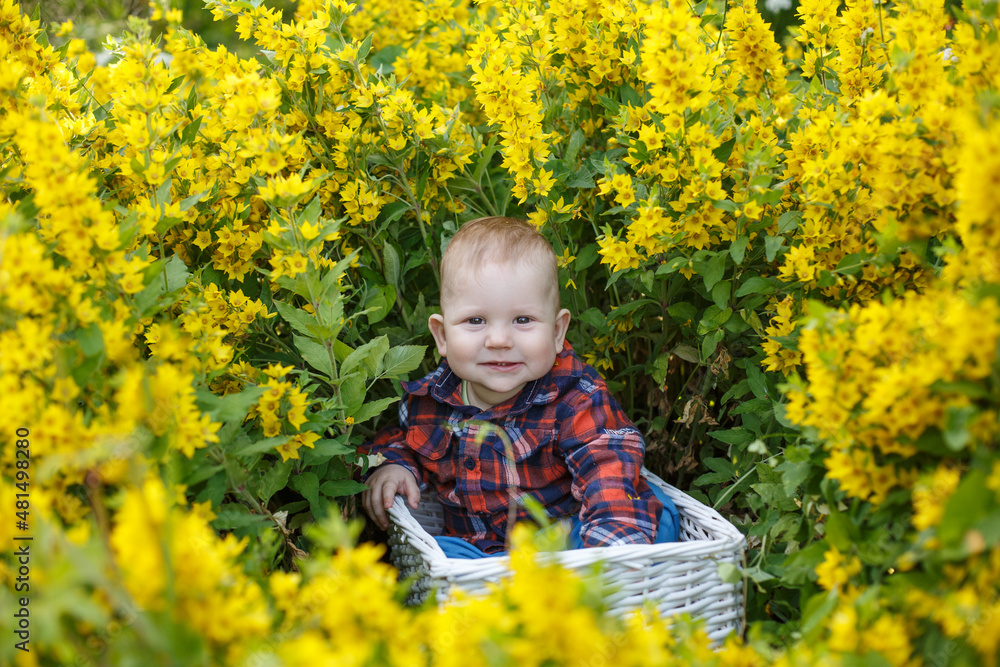 Smiling child plays in flowers. Baby in blooming spring garden. Summertime scene from childhood Smiling child plays in flowers. Baby in blooming spring garden. Summertime scene from childhood