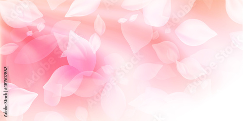Fototapeta Naklejka Na Ścianę i Meble -  桜　花びら　春　背景