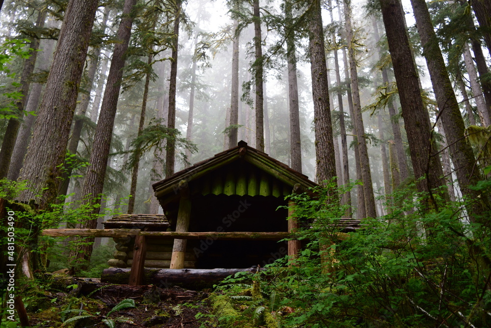 Olympic National Park, Washington, USA Olympic National Park, Washington, USA