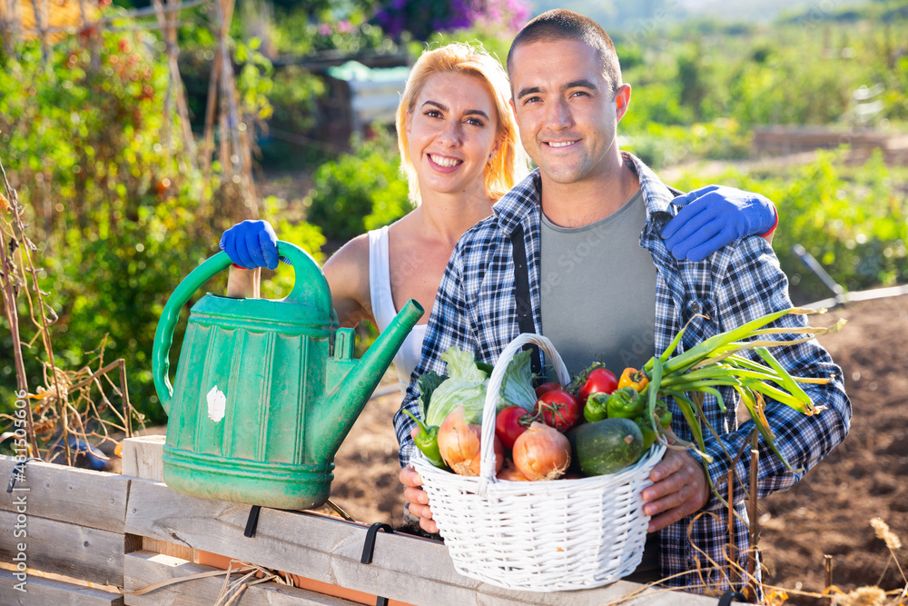Obraz premium Portrait of cheerful young man and woman with basket full of freshly picked vegetables posing at garden
