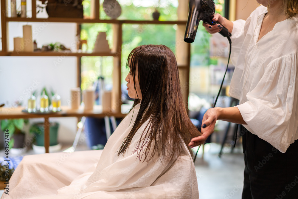 ヘアドライヤーを使う美容師 ヘアドライヤーを使う美容師