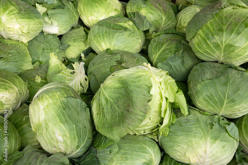 Cabbages on the table