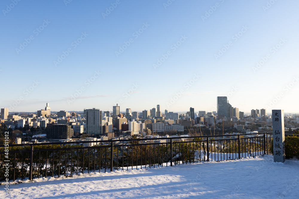 《宮城県・仙台市》青葉城址 1月 《宮城県・仙台市》青葉城址 1月