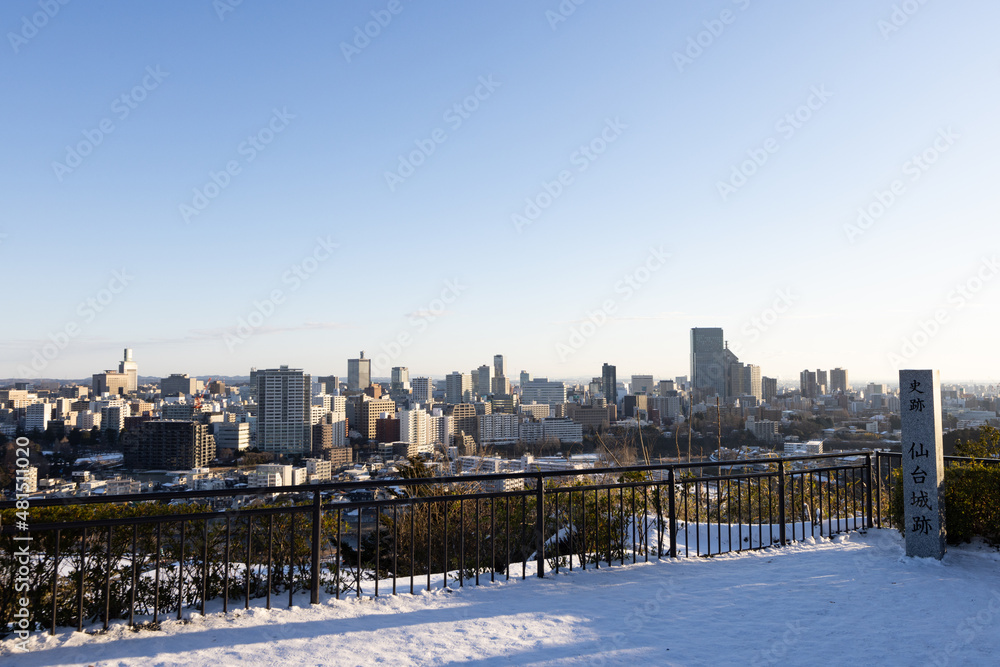 Obraz premium 《宮城県・仙台市》青葉城址 １月