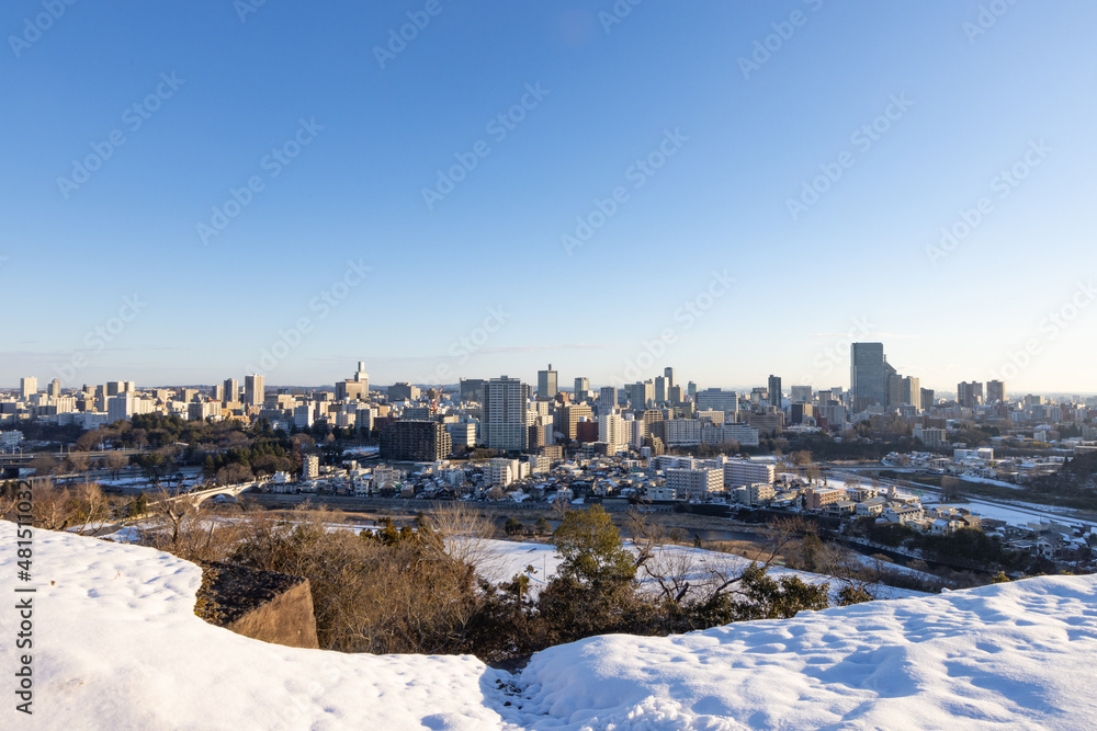 Obraz premium 《宮城県・仙台市》青葉城址 １月