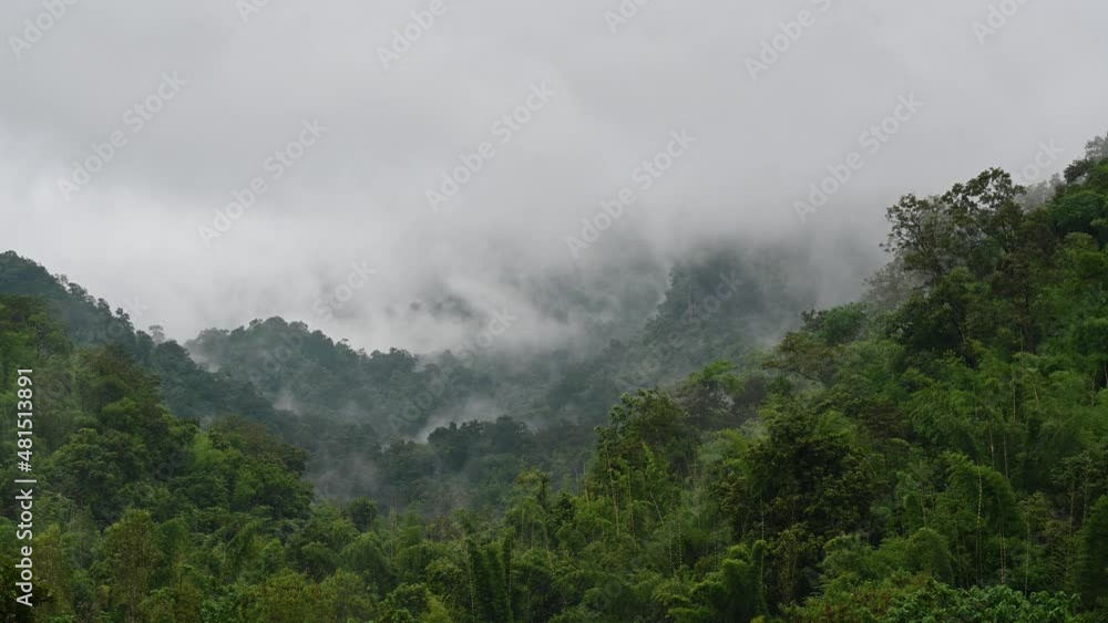Fog moving in between mountains over the rainforest in Sai Yok, Kanchanaburi, Thailand. Fog moving in between mountains over the rainforest in Sai Yok, Kanchanaburi, Thailand.