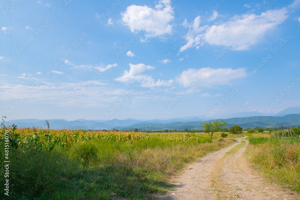 a narrow dirt road towards the mountains goes a narrow dirt road towards the mountains goes