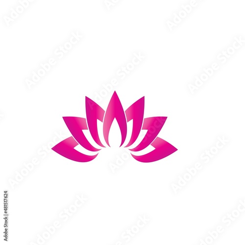 Beauty Vector lotus flowers design logo Template icon