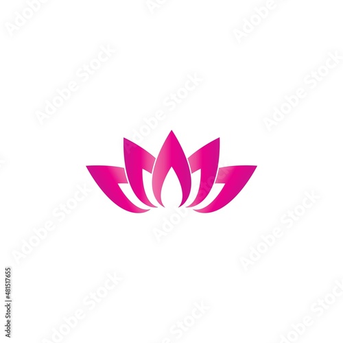 Beauty Vector lotus flowers design logo Template icon