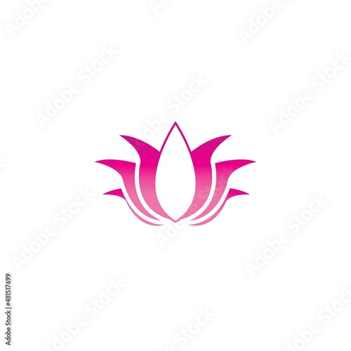 Beauty Vector lotus flowers design logo Template icon