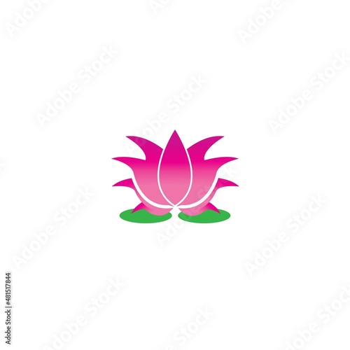 Beauty Vector lotus flowers design logo Template icon © Achmad99