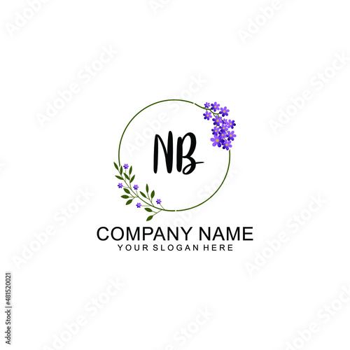 NB Initial handwriting logo vector. Hand lettering for designs