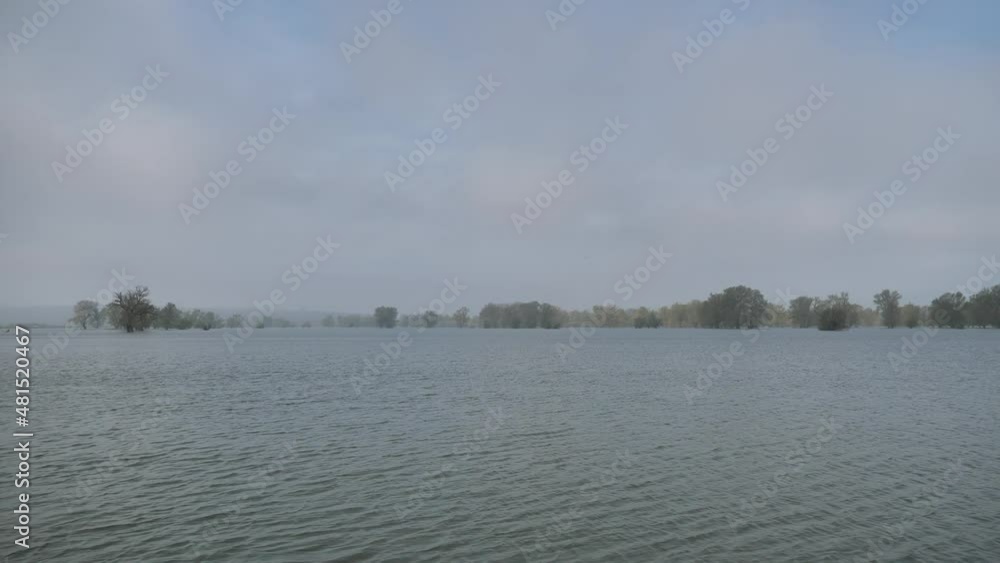 4k video with a massive flood on a field during spring. An entire forest is under water. 4k video with a massive flood on a field during spring. An entire forest is under water.