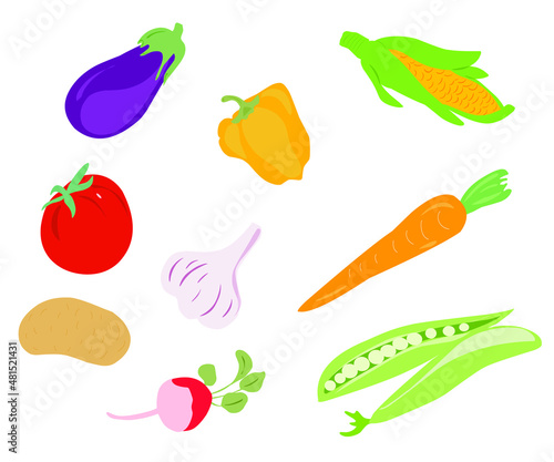 set of vegetables illustration on a white background. A flat illustration of a vegetable graph