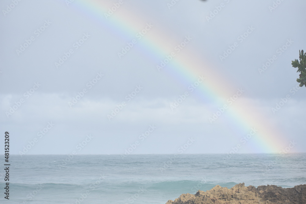 Fototapeta premium rainbow