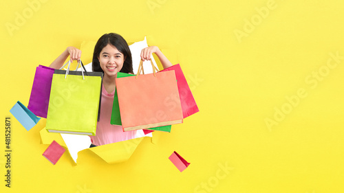 Shopping concept. Woman holding shopping bags.