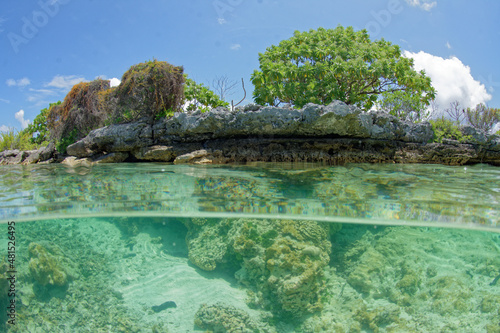 rangiroa, tuamotu, polynesie francaise, l'ile aux recifs