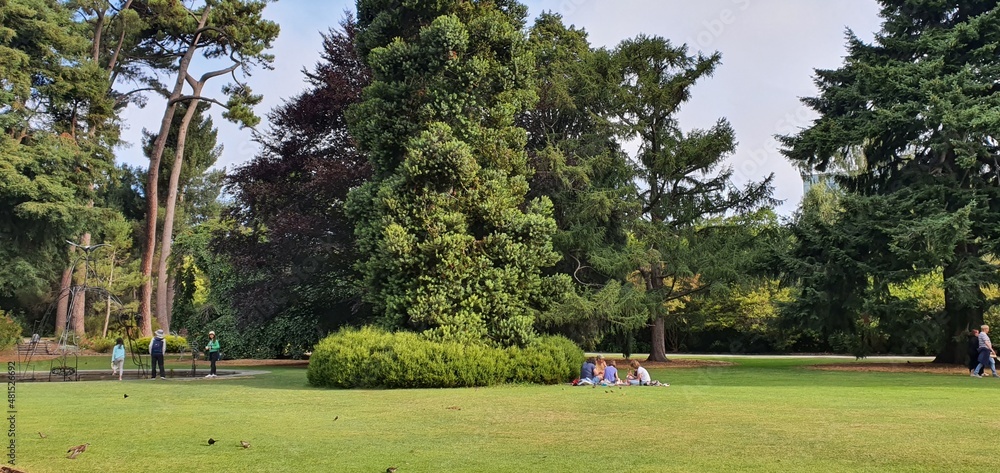 people in park