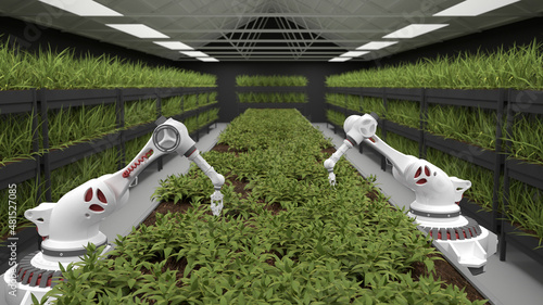 Automated planting process using advanced robot for planting leaves in trays. healthy eating in the future. Agricultural industry.