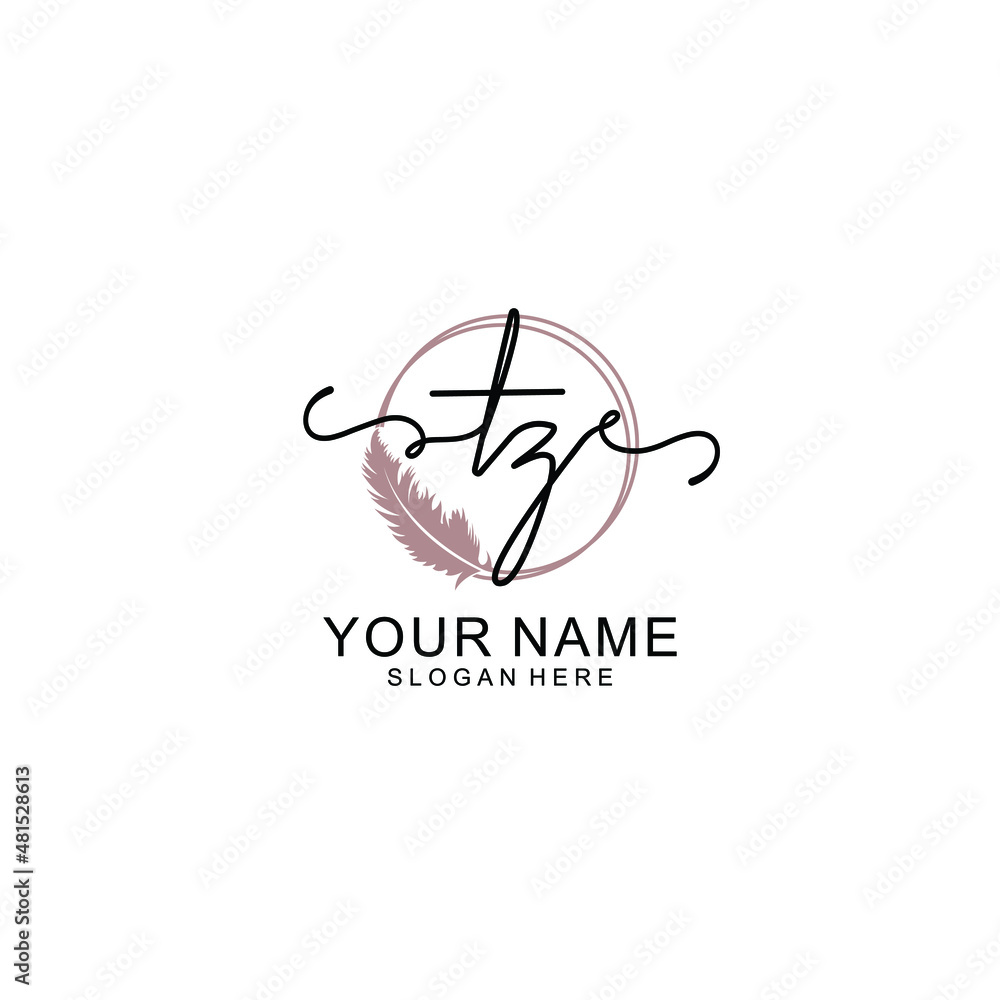 Initial TZ beauty monogram and elegant logo design handwriting logo of initial signature Initial TZ beauty monogram and elegant logo design handwriting logo of initial signature
