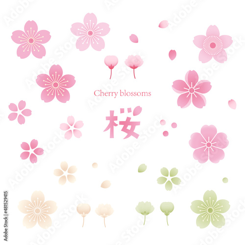 桜の花のアイコンセット　桜のベクターイラストセット