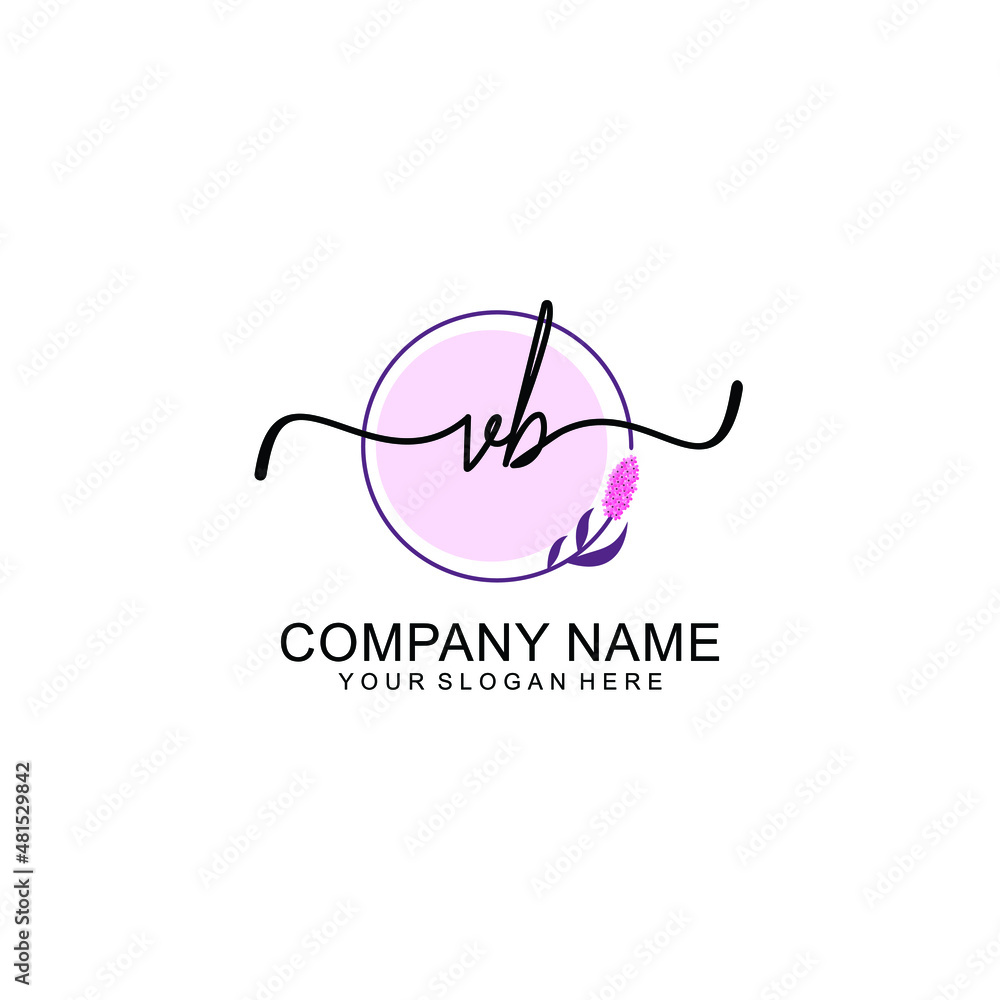 Initial VB beauty monogram and elegant logo design handwriting logo of initial signature Initial VB beauty monogram and elegant logo design handwriting logo of initial signature