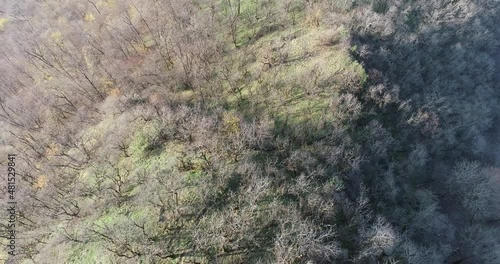 Aerial Drone Footage View: Flying from the forest over spring mountains, hills and meadows with pine forests in sun soft light. Beautiful landscape.  4K Ultra HD. Dilijan