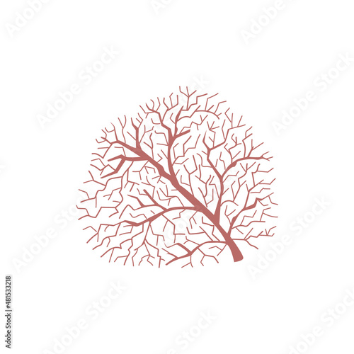 Red coral on white background. Animal on the seabed. Vector illustration.