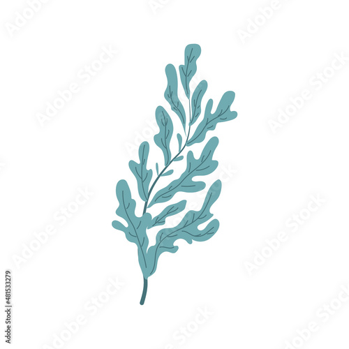Seaweed on white background. Plant on the seabed. Vector illustration.