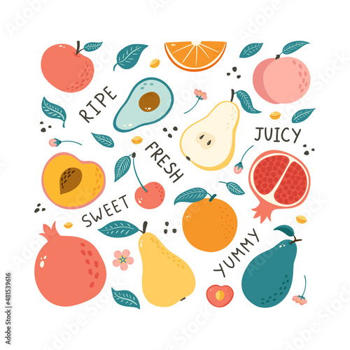 Hand Drawn Fruits Collection. Set of Doodle style fruits illustrations for poster  banner  background  market label  logo  sticker  postcard  menu  food package design and decoration