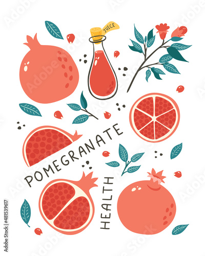 Hand Drawn Pomegranate Still Life. Doodle style garnet fruits and seeds illustration for poster, banner, background, market label, logo, sticker, postcard, menu, food package design and decoration