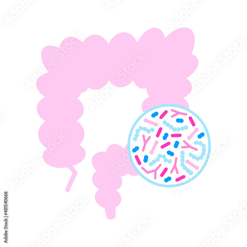 Gut microbiome concept. Human intestine microbiota with healthy probiotic bacteria. Flat abstract medicine illustration of microbiology checkup. photo
