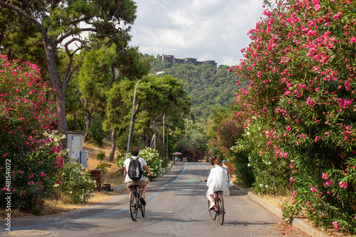 The road on the island of Buyukada overlooking a closed, wooden orphanage, Turkey, Stanbul, Adalar Islands