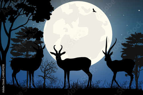 cute antelope and moon silhouette