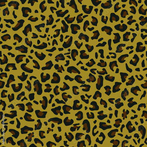 Leopard pattern. Vector. Animal drawing, predator. Seamless print.