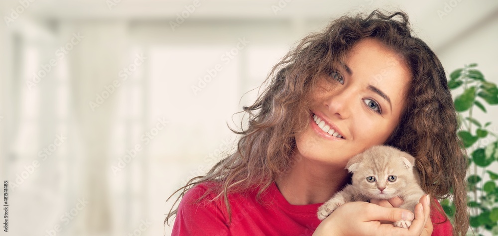Happy beautiful cheerful young woman with a cute gray cat in her arms at home Happy beautiful cheerful young woman with a cute gray cat in her arms at home