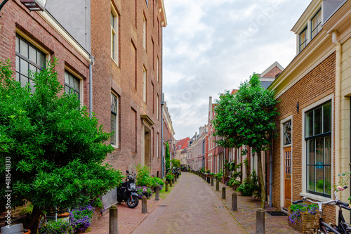 Haarlem  Netherlands