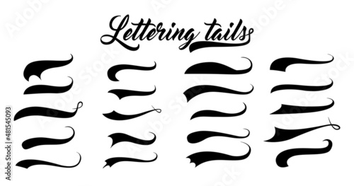 Swoosh and swash typography tails shape. Underline retro swoop wave line for athletic tshirt. Vector strockes set photo