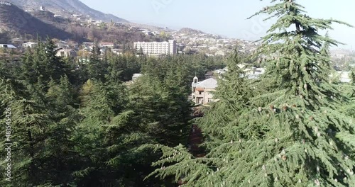 Aerial Drone Footage View: Flying from the forest over spring mountains, hills and meadows with pine forests in sun soft light. Beautiful landscape.  4K Ultra HD. Dilijan