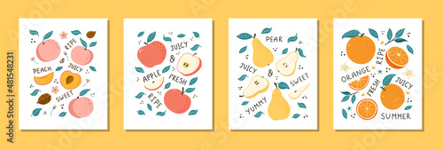 Hand Drawn Fruits Still Life Set. Doodle style fruits illustrations for poster, banner, background, market label, logo, sticker, postcard, menu, food package design and decoration
