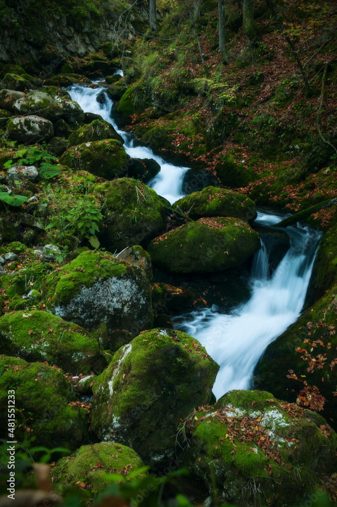 A stream of water flowing over mossy rocks in the autumn