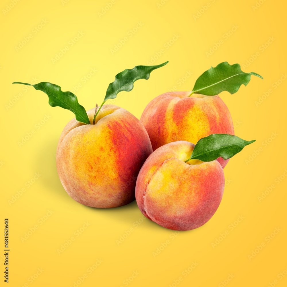 Collection of ripe fresh Pink Peach fruit with leaf Collection of ripe fresh Pink Peach fruit with leaf