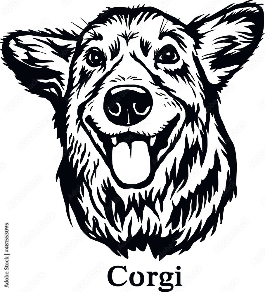 Fototapeta premium Corgi - Funny Dog, Vector File, Cut Stencil for Tshirt
