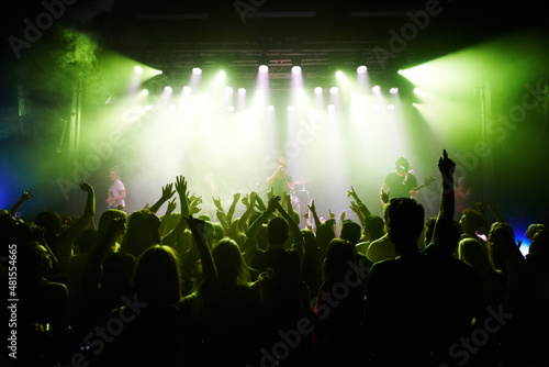 This concert is rockin'. Rear-view of a cheering crowd at a music concert-This concert was created for the sole purpose of this photo shoot, featuring 300 models and 3 live bands. All people in this