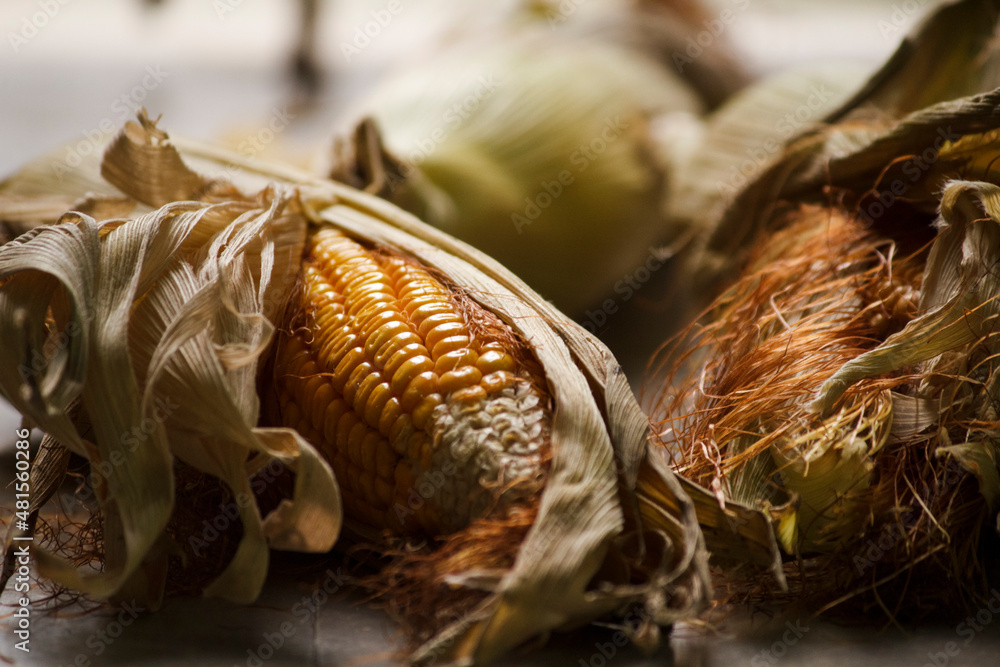 Fototapeta premium The corns are ready to be burnt