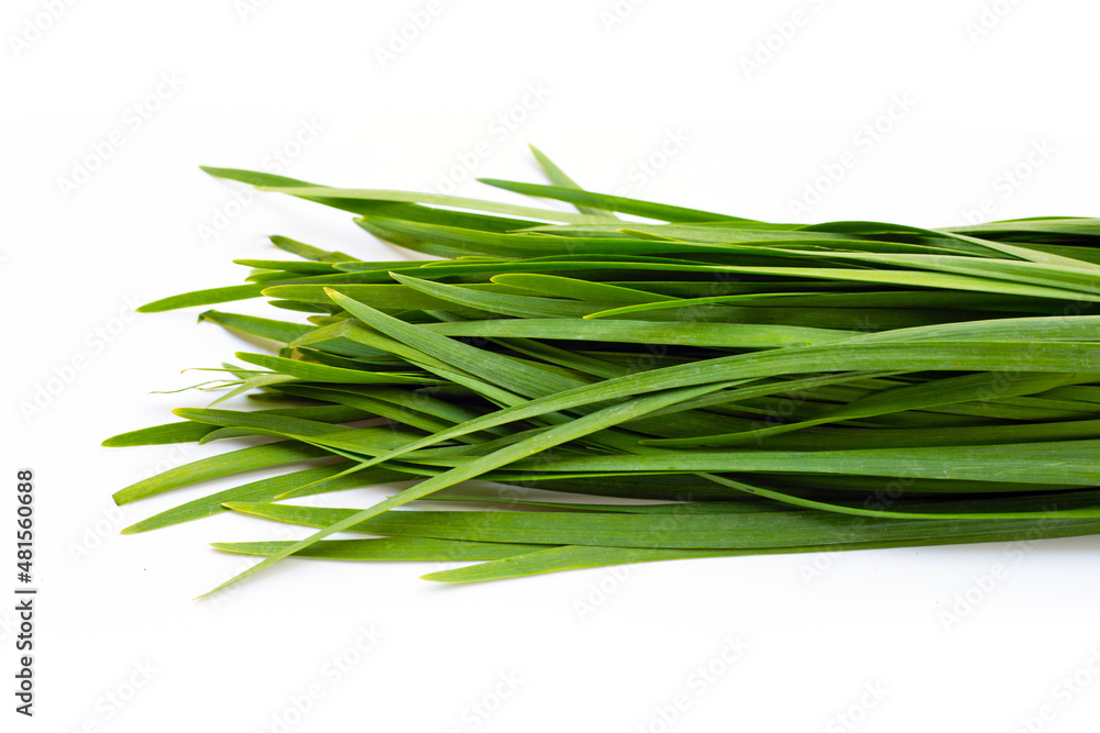 Fototapeta premium Fresh Chinese Chive leaves on white background.