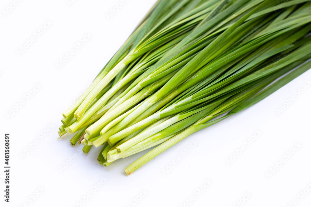 Fresh Chinese Chive leaves on white background. Fresh Chinese Chive leaves on white background.