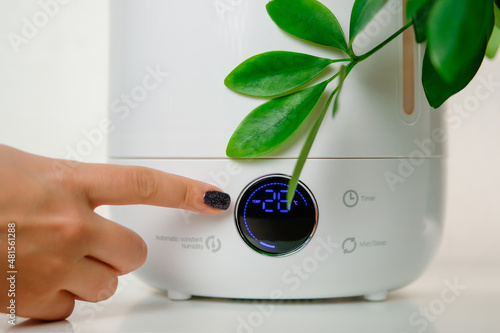 Woman turns on modern ultrasonic ionizer humidifier on table next to plants. photo
