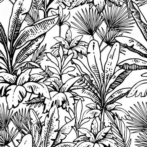 Tropical grass and plant thickets. Seamless pattern. Hand drawing outline. Summer landscape. Sketch of exotic plants. Isolated on white background. Vector